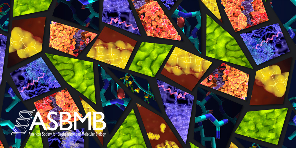 ASBMB program for MOSAIC scholars ASBMB program for MOSAIC scholars
