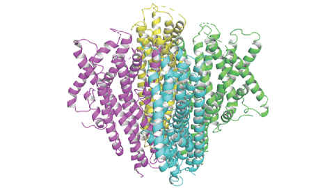 The sweet tale of a silkworm taste receptor