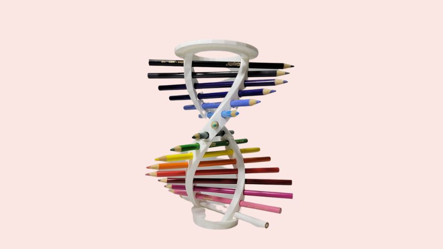 DNA pencil holder