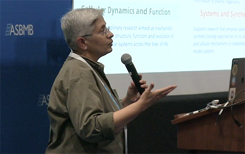 Manju Hingorani gives a presentation on National Science Foundation funding priorities for grad students and postdocs at Discover BMB, the ASBMB's annual meeting in Seattle.