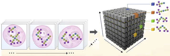 Maps will show how proteins take different forms over space and time, from milliseconds to years. It’s postgame analysis for cells.