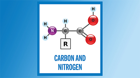 For June and July, it’s atomic Nos. 6 and 7