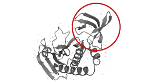 MicroID2: Streamlined for better biotinylation