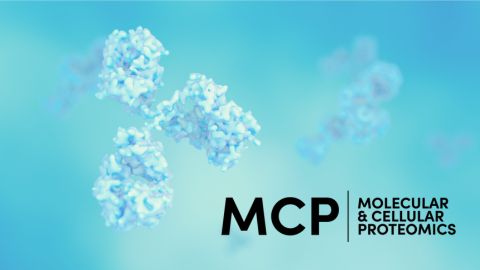 MCP seeks new editor-in-chief