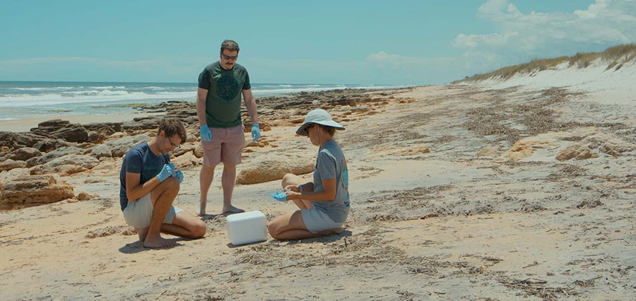 Lucas Meers, a citizen scientist, Professor David Duffy and Catherine Eastman, Sea Turtle Program Hospital manager, collecting samples at River to Sea Preserve.