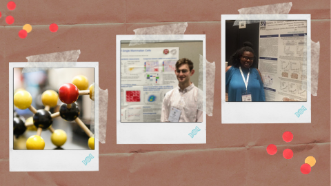 Tips for mentors headed to the undergrad poster competition