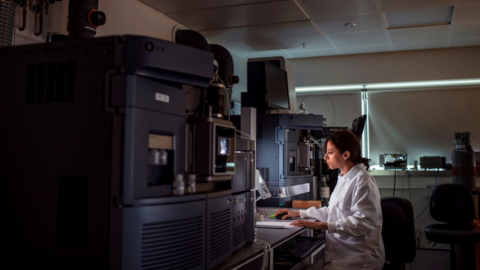 Upcoming opportunities