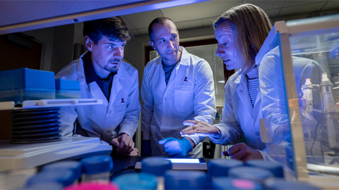 Structural insights reveal how SPOP protein contributes to cancer