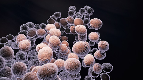 Method sharpens proteome-wide view of structural changes