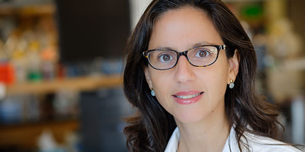 Science to the rescue