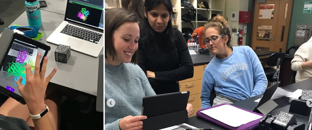 Washington College cell biology students work with an AR tool.