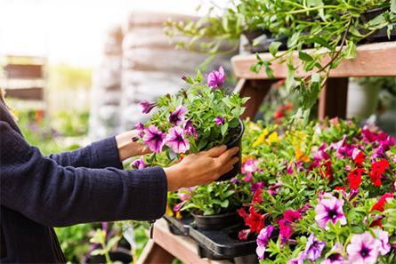 Grow Your Own Cloud, a group of artists, ran a mock flower shop to introduce visitors to the possibility of storing data in DNA.