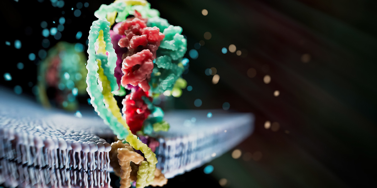 ATP synthase protein structure image