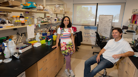 How genome organization influences cell fate