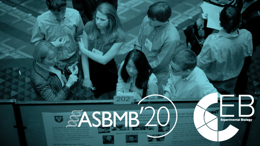 2020 Annual Meeting