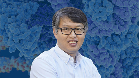 Park wins Parkinson’s award