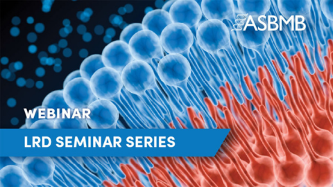 Upcoming opportunities