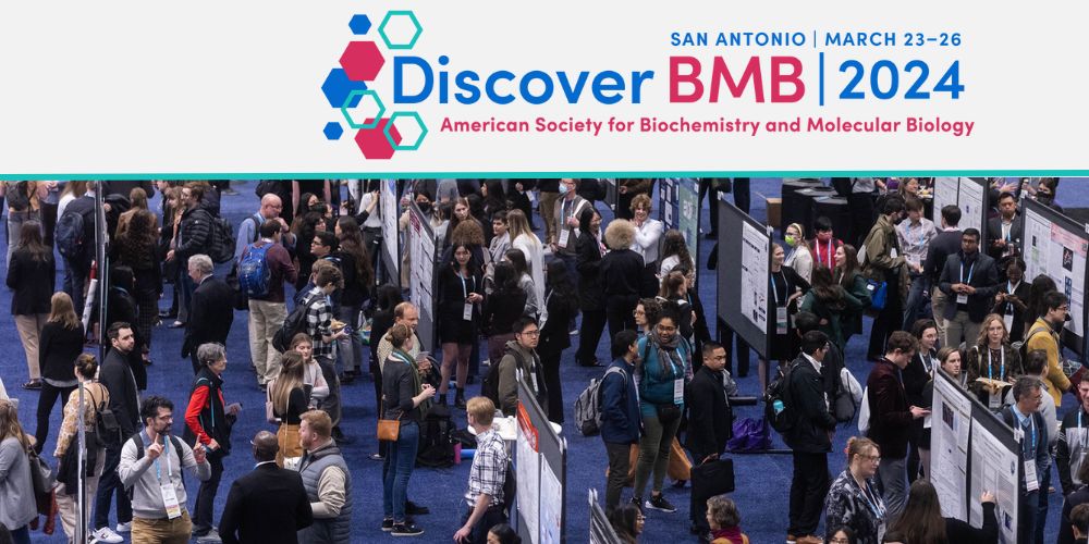 Discover BMB 2024 abstract categories