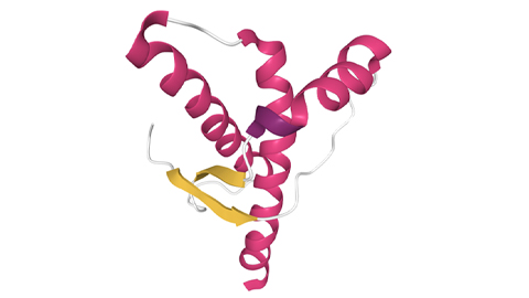 Prion origins are key in study of chronic wasting disease