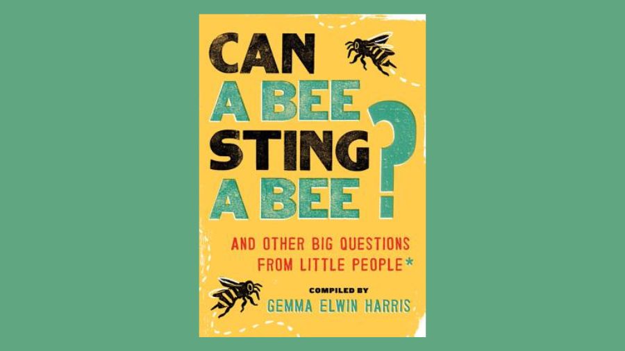 Can a Bee Sting a Bee?: And Other Big Questions from Little People