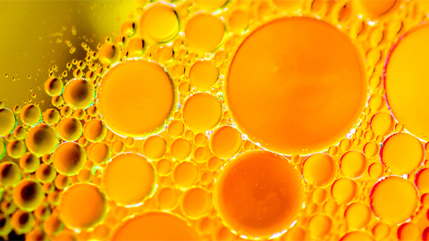 Breaking down fat byproducts could lead to healthier aging