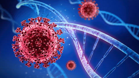 What we lost: Two early-career researchers share their pandemic experiences