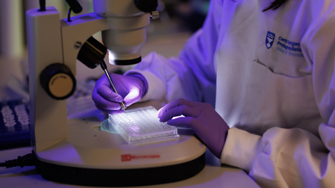 'Protein sandwich' could transform cancer drug discovery