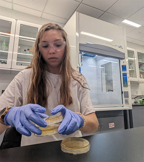 Allie Goss conducted research in R. Jeremy Johnson’s lab at Butler University to identify specific enzymes involved in metabolic processes that are essential for the persistence or reactivation of latent tuberculosis infections.