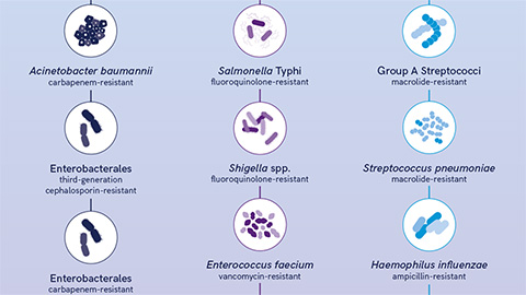 Training AI to uncover novel antimicrobials