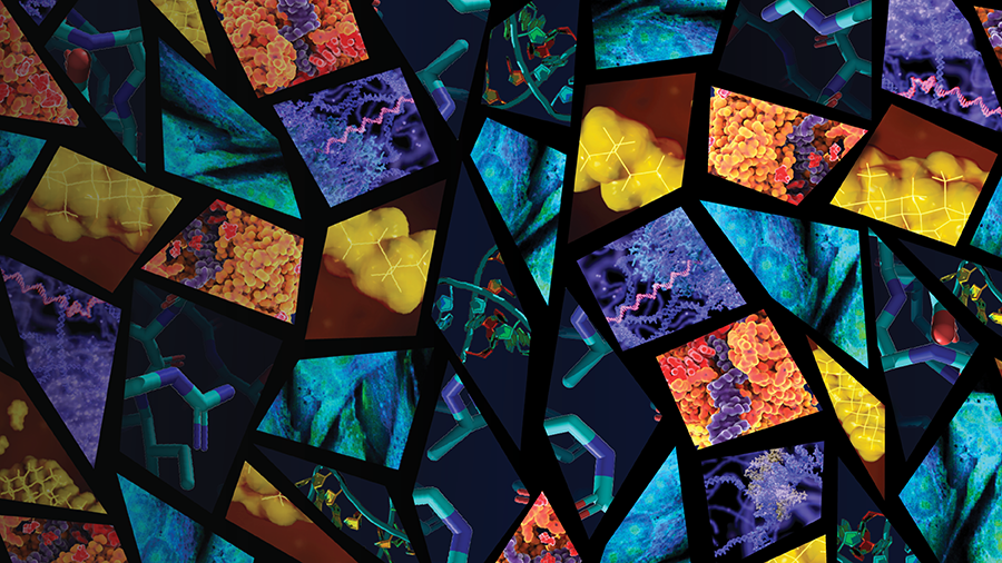 ASBMB receives NIH grant to promote faculty diversity