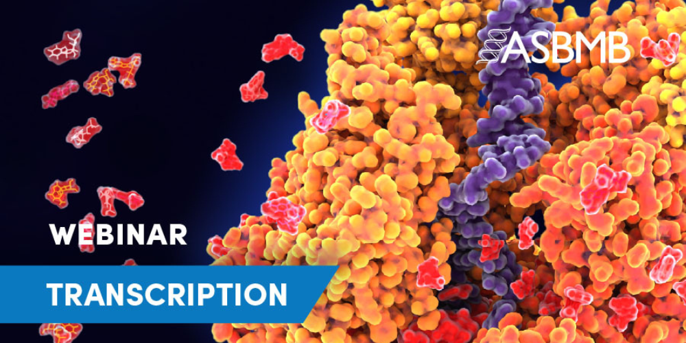 Upcoming opportunities