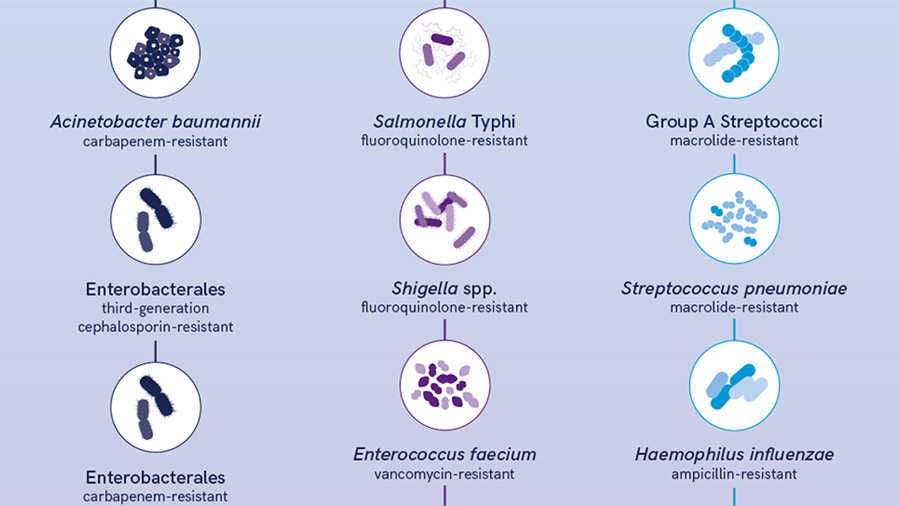 Training AI to uncover novel antimicrobials