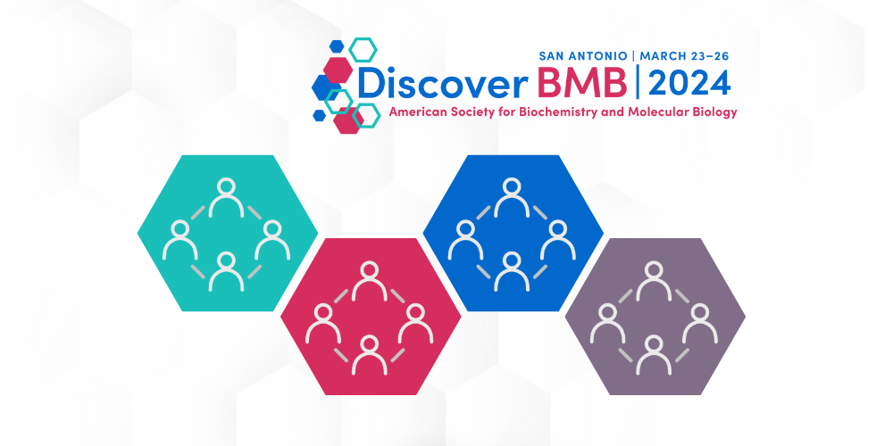 Wanted: #DiscoverBMB 2024 interest group organizers