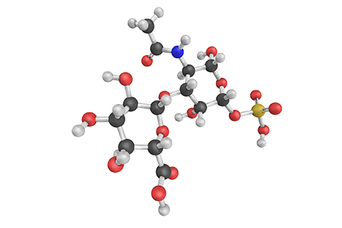 Chondroitin sulfate, shown here as a 3D structure, is a sulfated glycosaminoglycan composed of a chain of alternating sugars.