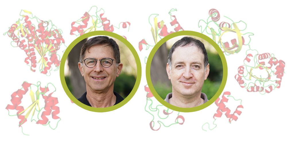 ‘How life began merits a preceding discussion of what life actually is’