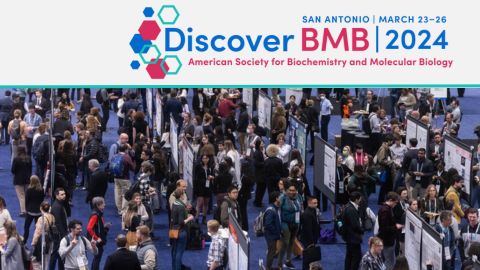 Discover BMB 2024 abstract categories