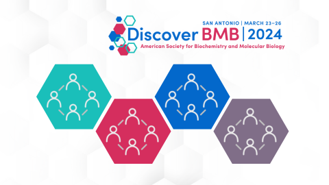 Wanted: #DiscoverBMB 2024 interest group organizers