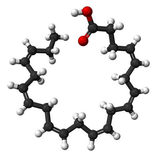 Ball and stick illustration of DHA