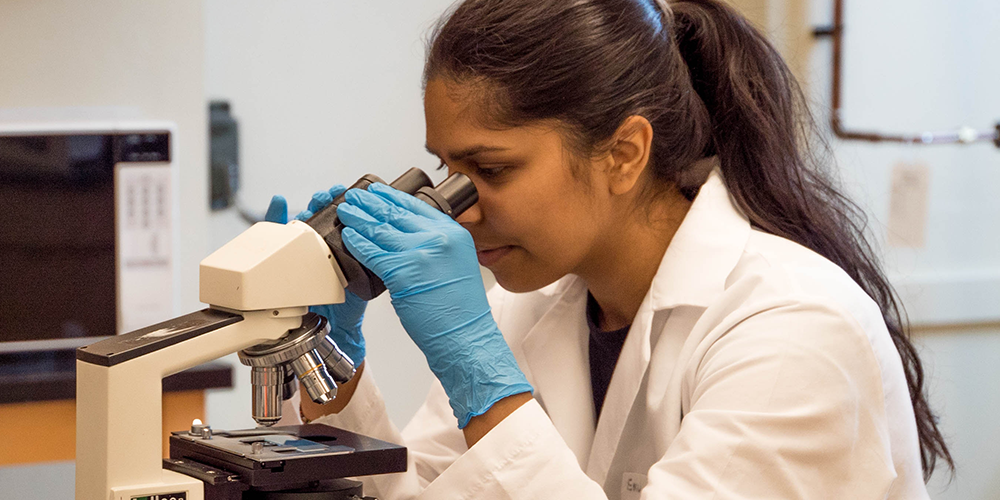 How To Find A Postdoctoral Research Position how-to-find-a-postdoctoral-research-position