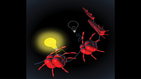 JBC: In reading histone modifications, an oncoprotein is modified in return