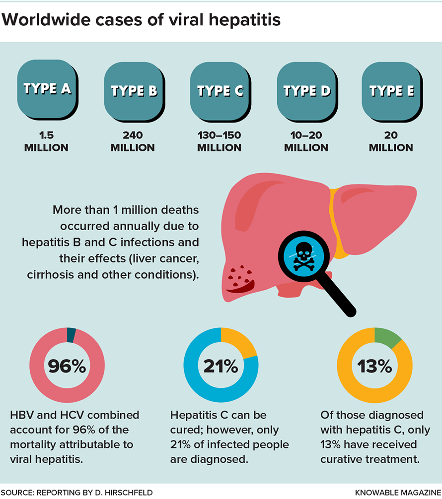 The five known types of viral hepatitis afflict hundreds of millions of people around the world, causing both acute and chronic liver diseases. Among them, types B and C are the most severe, and diagnosis often remains a challenge.