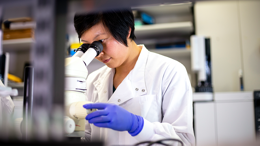 ASBMB's new career center offers more than just jobs