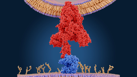 How omicron’s mutations make it the most infectious coronavirus variant yet