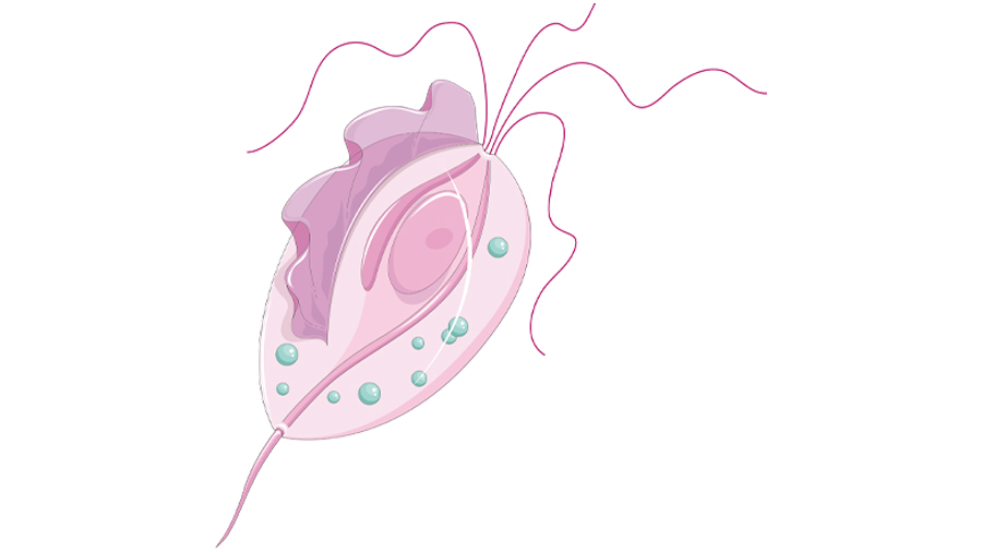 servier medical art chemistry