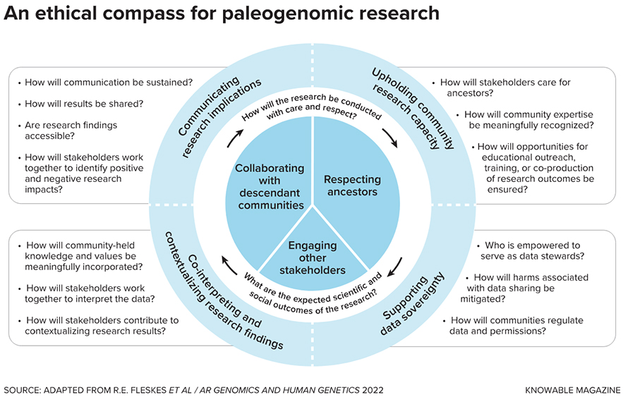 These questions can guide scientists conducting DNA research, Bader and colleagues say, to approach their projects ethically by involving all stakeholders — ancestors and descendant communities, for example, as well as researchers and museums — in a meaningful way.