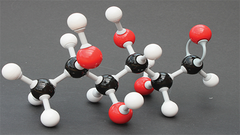 JBC: Molecules from breast milk and seaweed suggest strategies for controlling norovirus