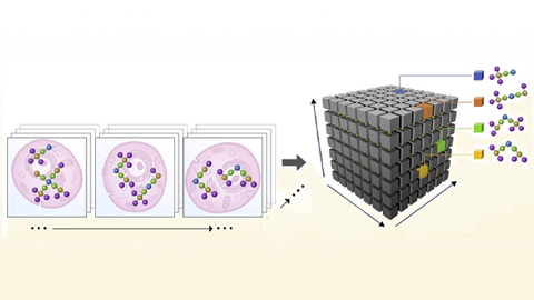 Move over, DNA. The future is protein