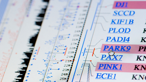 Newly discovered genetic variant clarifies why Parkinson’s develops
