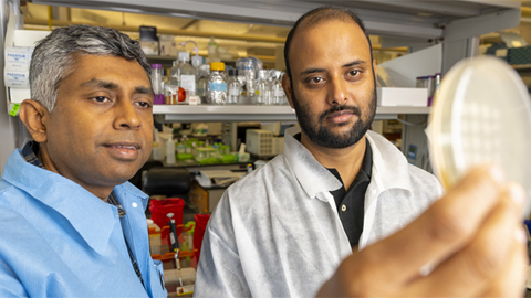 Study uncovers a unique, efficient method of copper delivery in cells