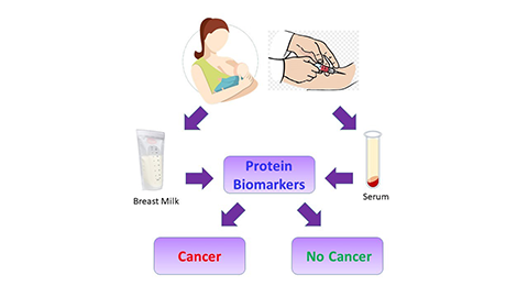 Scientists identify cancer biomarkers in breast milk
